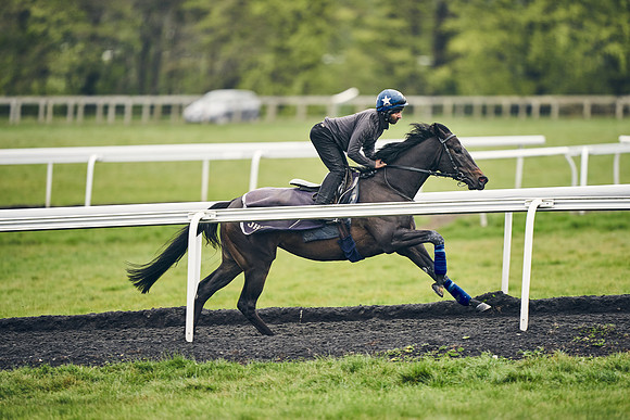 HORSES-IN-TRAINING-18TH-APR-DJ-1134