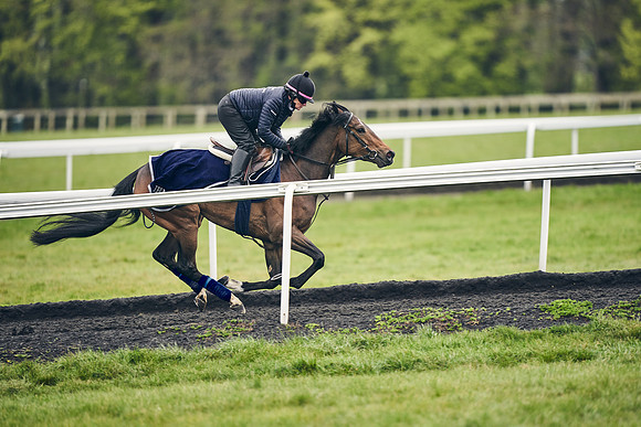 HORSES-IN-TRAINING-18TH-APR-DJ-1070