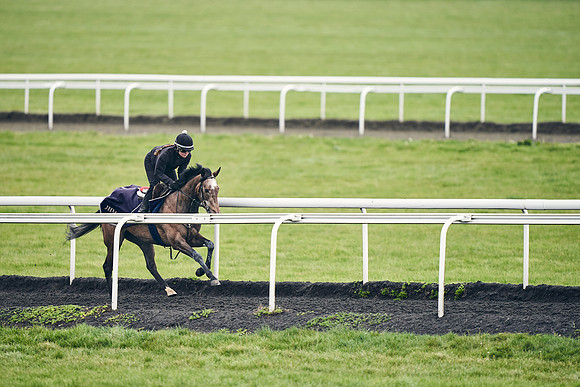 HORSES-IN-TRAINING-18TH-APR-DJ-1090