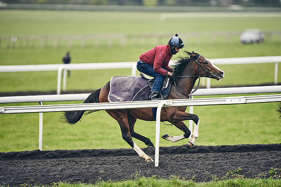 HORSES-IN-TRAINING-18TH-APR-DJ-1980