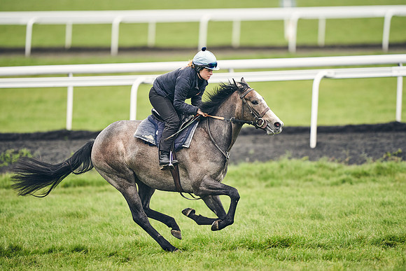 HORSES-IN-TRAINING-18TH-APR-DJ-1661