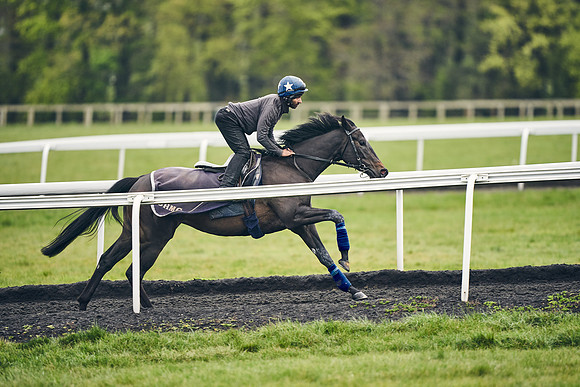 HORSES-IN-TRAINING-18TH-APR-DJ-1138