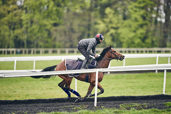 HORSES-IN-TRAINING-18TH-APR-DJ-1406