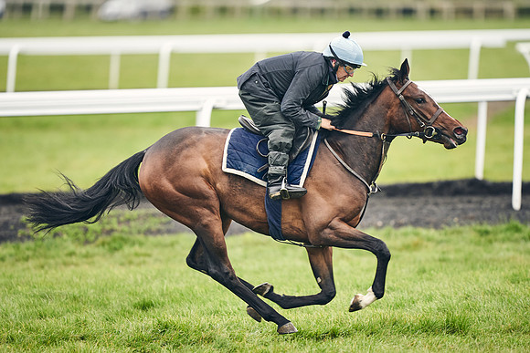 HORSES-IN-TRAINING-18TH-APR-DJ-1652