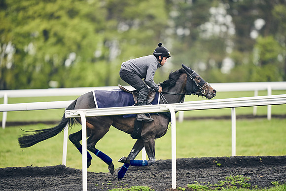 HORSES-IN-TRAINING-18TH-APR-DJ-1753