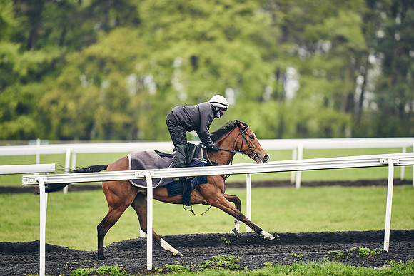 HORSES-IN-TRAINING-18TH-APR-DJ-1339
