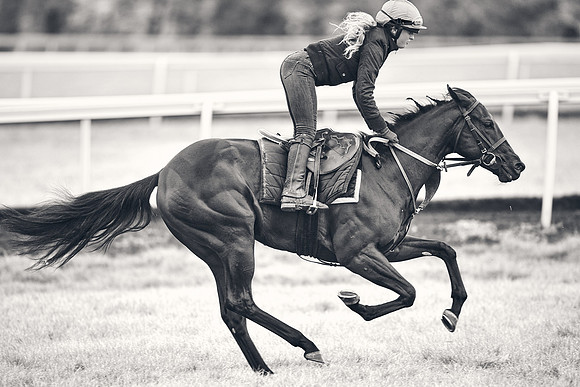 HORSES-IN-TRAINING-18TH-APR-DJ-1656