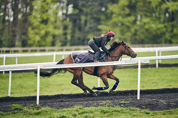 HORSES-IN-TRAINING-18TH-APR-DJ-1150