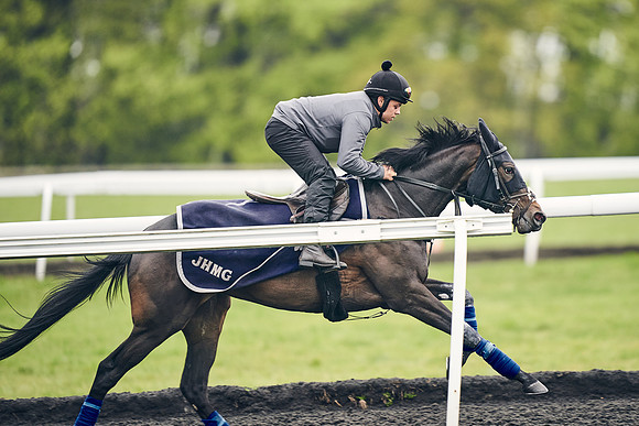 HORSES-IN-TRAINING-18TH-APR-DJ-1750