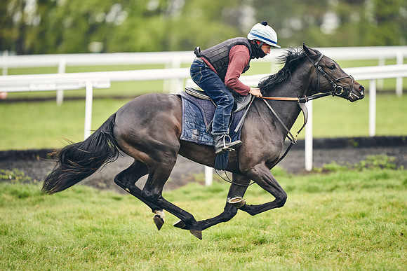 HORSES-IN-TRAINING-18TH-APR-DJ-1577