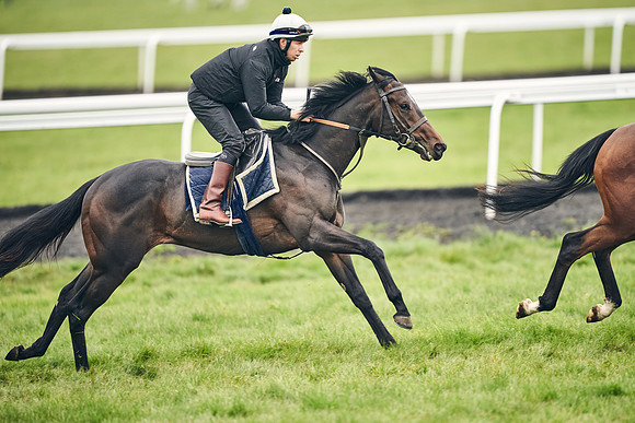 HORSES-IN-TRAINING-18TH-APR-DJ-1615