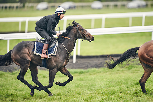 HORSES-IN-TRAINING-18TH-APR-DJ-1618