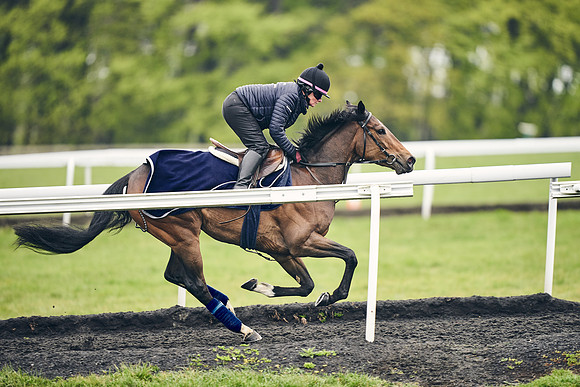 HORSES-IN-TRAINING-18TH-APR-DJ-1787