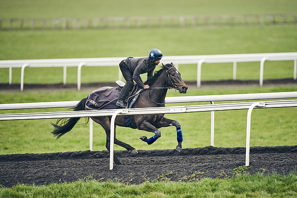 HORSES-IN-TRAINING-18TH-APR-DJ-1849