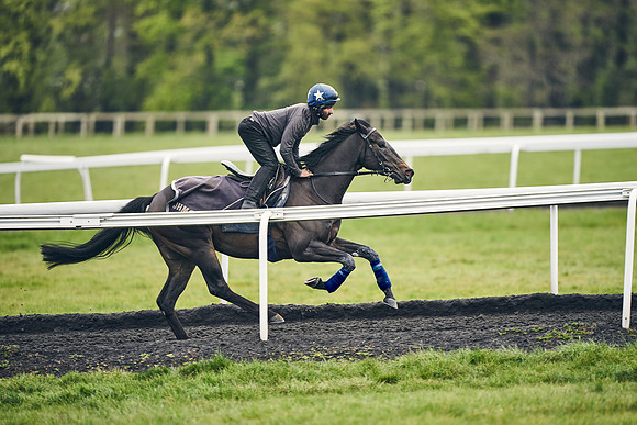 HORSES-IN-TRAINING-18TH-APR-DJ-1137