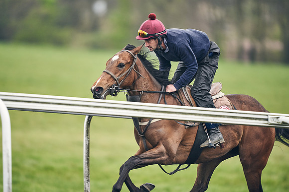 HORSES-IN-TRAINING-18TH-APR-DJ-2081
