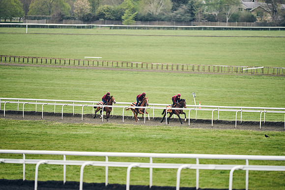 HORSES-IN-TRAINING-18TH-APR-DJ-2019
