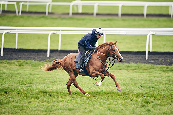 HORSES-IN-TRAINING-18TH-APR-DJ-1540