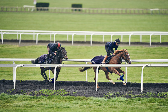 HORSES-IN-TRAINING-18TH-APR-DJ-1935