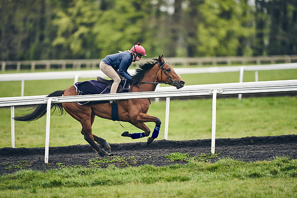 HORSES-IN-TRAINING-18TH-APR-DJ-1114