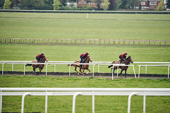 HORSES-IN-TRAINING-18TH-APR-DJ-2026