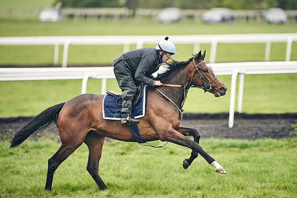 HORSES-IN-TRAINING-18TH-APR-DJ-1648