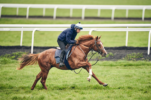 HORSES-IN-TRAINING-18TH-APR-DJ-1551