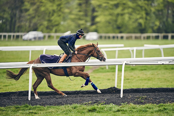 HORSES-IN-TRAINING-18TH-APR-DJ-1208