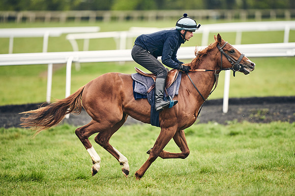 HORSES-IN-TRAINING-18TH-APR-DJ-1600
