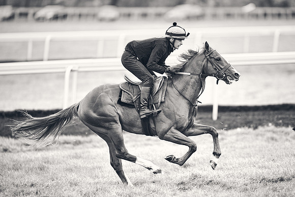 HORSES-IN-TRAINING-18TH-APR-DJ-1596