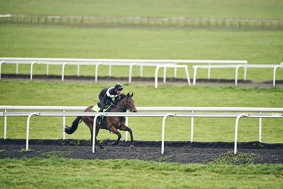 HORSES-IN-TRAINING-18TH-APR-DJ-1174