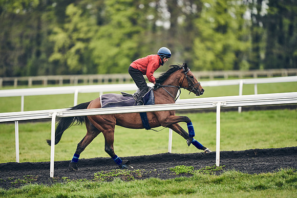 HORSES-IN-TRAINING-18TH-APR-DJ-1439