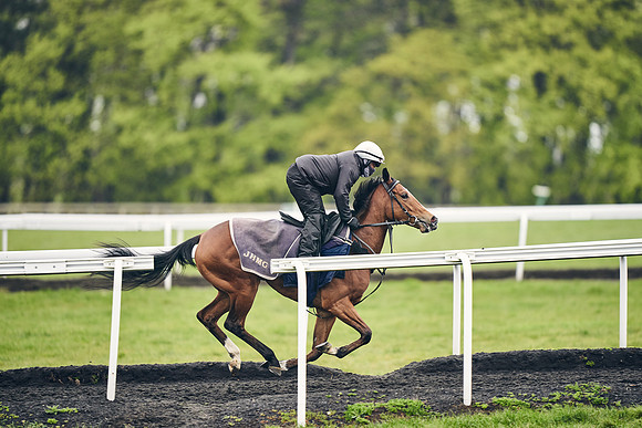 HORSES-IN-TRAINING-18TH-APR-DJ-1337