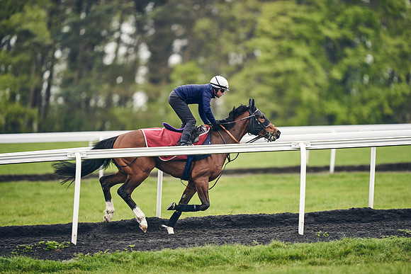 HORSES-IN-TRAINING-18TH-APR-DJ-1374