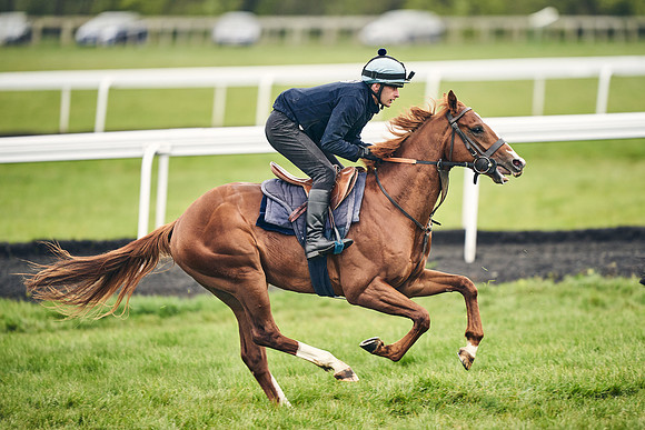 HORSES-IN-TRAINING-18TH-APR-DJ-1596