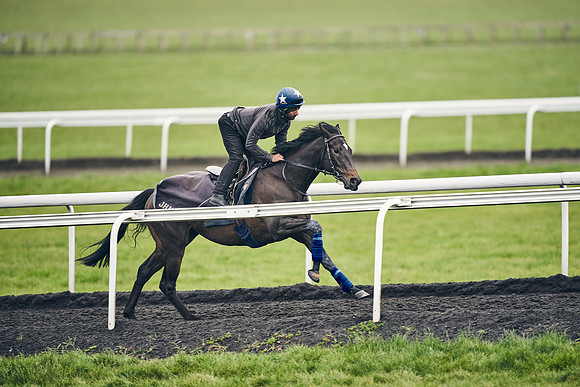 HORSES-IN-TRAINING-18TH-APR-DJ-1850