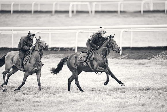HORSES-IN-TRAINING-18TH-APR-DJ-1683