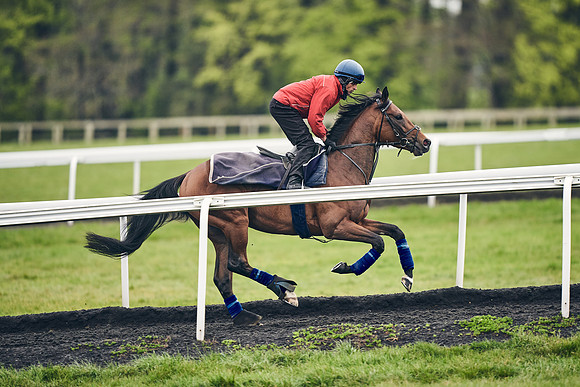 HORSES-IN-TRAINING-18TH-APR-DJ-1438