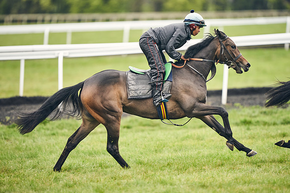 HORSES-IN-TRAINING-18TH-APR-DJ-1674
