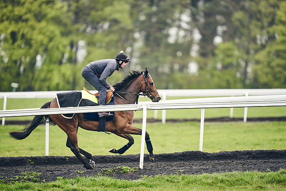 HORSES-IN-TRAINING-18TH-APR-DJ-1196
