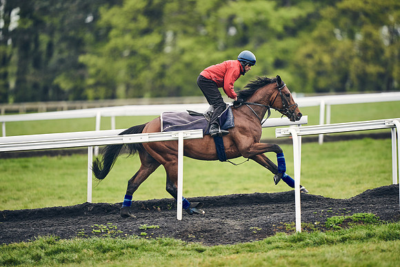 HORSES-IN-TRAINING-18TH-APR-DJ-1445