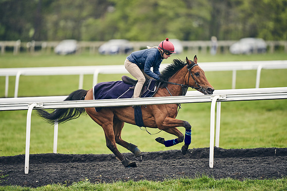HORSES-IN-TRAINING-18TH-APR-DJ-1833