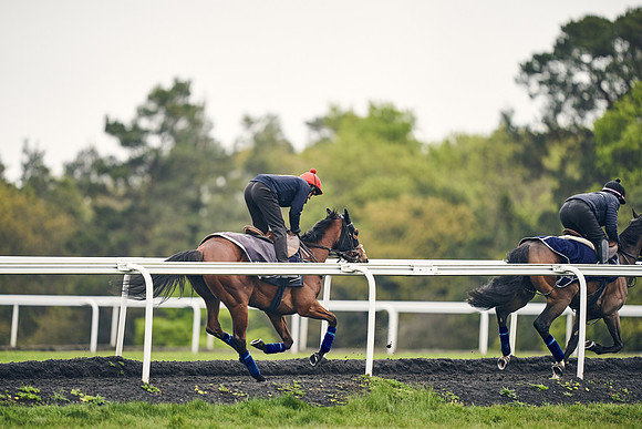 HORSES-IN-TRAINING-18TH-APR-DJ-1802