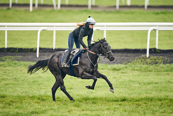 HORSES-IN-TRAINING-18TH-APR-DJ-1644