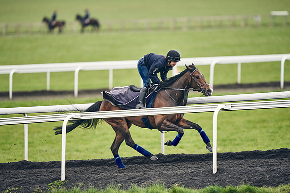 HORSES-IN-TRAINING-18TH-APR-DJ-1774