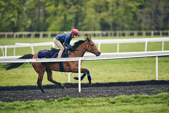 HORSES-IN-TRAINING-18TH-APR-DJ-1111
