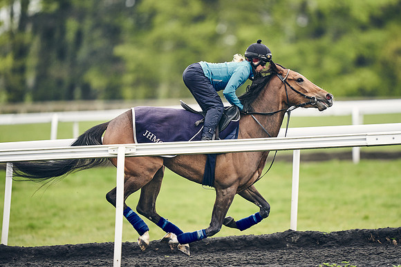 HORSES-IN-TRAINING-18TH-APR-DJ-1741