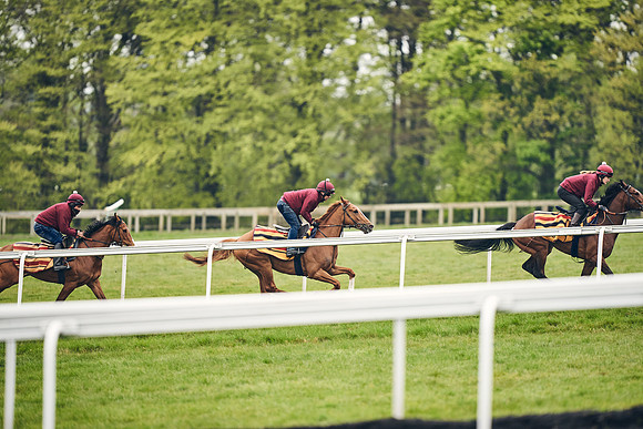 HORSES-IN-TRAINING-18TH-APR-DJ-2036