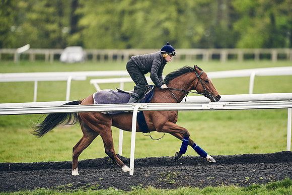 HORSES-IN-TRAINING-18TH-APR-DJ-1233