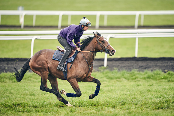 HORSES-IN-TRAINING-18TH-APR-DJ-1554